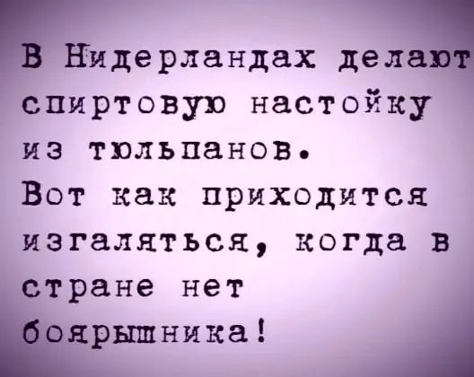 идерландах дел _спиртовую настойку из тюльпанов Вот как приходится изгаляться когда в тране нет _ншника