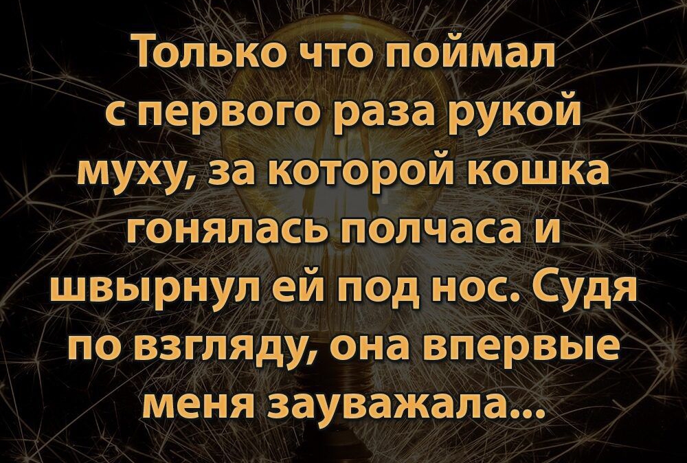 Топыо что поймал _ с первого раза рукой муху а_а х гонял швыіінул по вилять о меня зауважапа