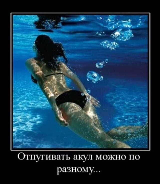 Огпутивать акул можно по разному