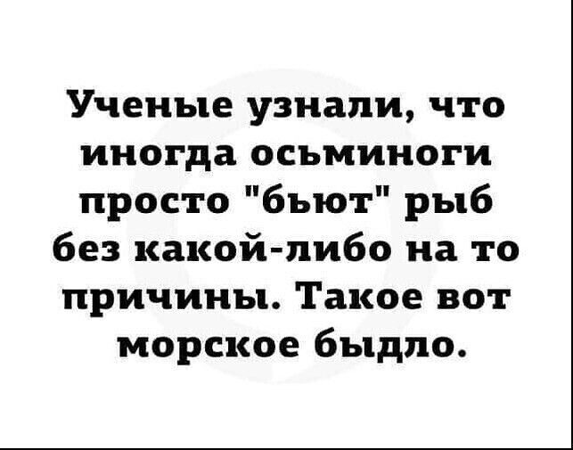 Ученые узнали что иногда осьминоги просто бьют рыб без какой либо на то причины Такое вот морское быдло