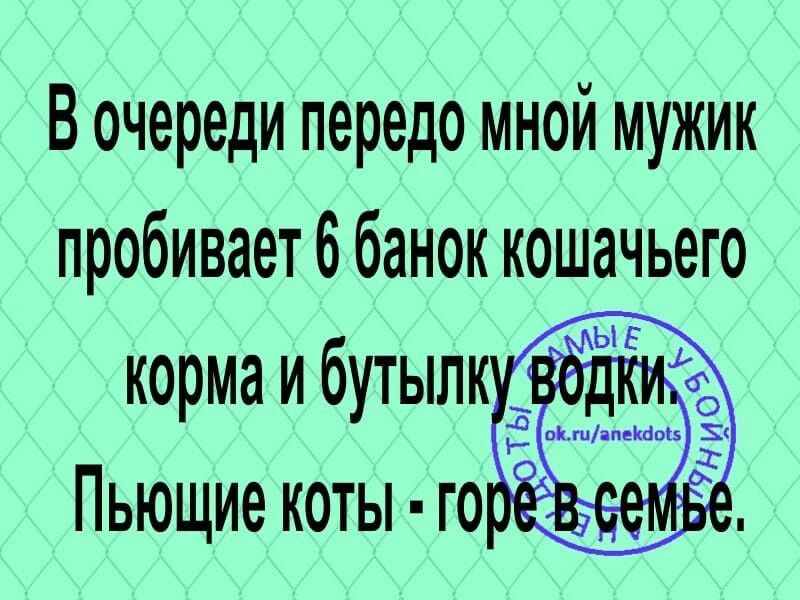 В очереди передо мной мужик пробивает 6 банок кошачьего корма и бутып Пьющие коты го