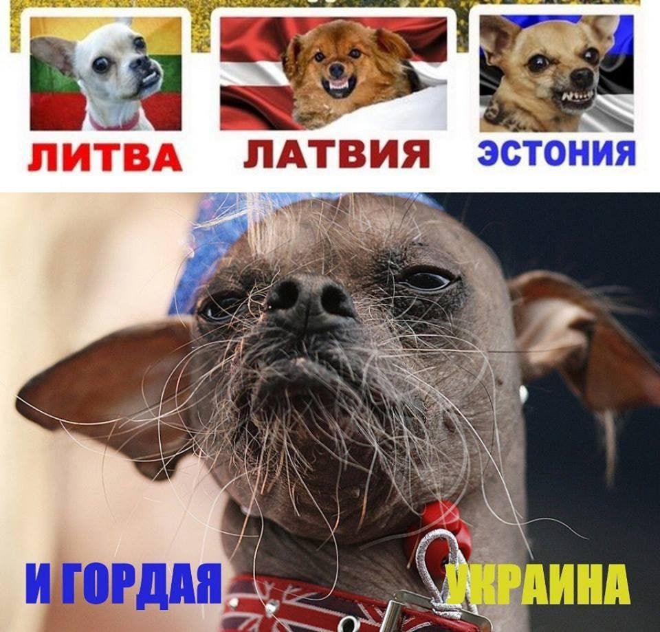 пыщ пи ВА ЛАТВИЯ