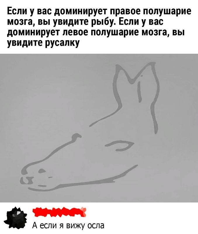 Если у вас доминирует правое полушарие мозга вы увидите рыбу Если у вас доминирует левое полушарие мозга вы увидите русалку