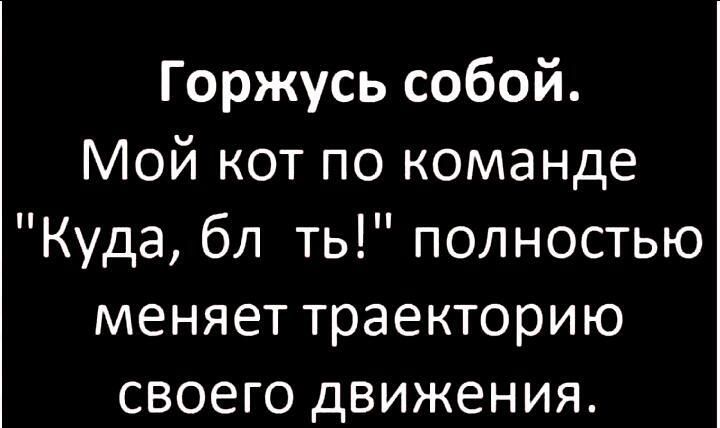 Горжусь собой Мой кот по команде Куда бл ть полностью меняет траекторию своего движения