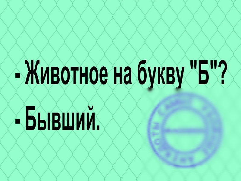 Животное на букву Б Бывший