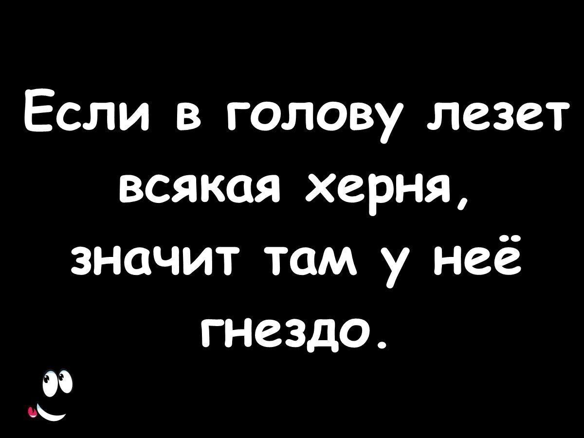 Если в голову лезет всякая херня значит там у неё ГНВЗДО И нь
