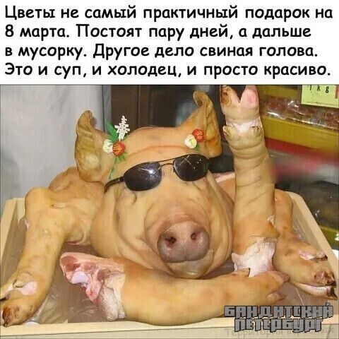 Цветы на самый практичный подарок на 8 марта Постоят пару дней а дальше в мусорку Другое дело свиная голова Это и суп и холодец и просто красиво 7