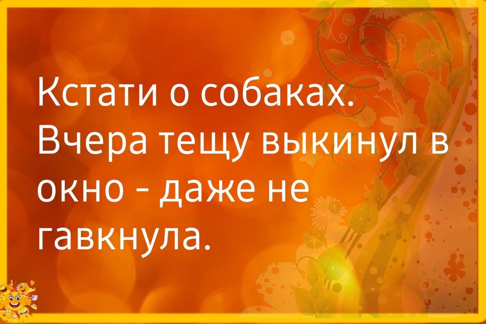 Кстати о собаках Вчера тещу вьшинул в окно даже не гавкнула