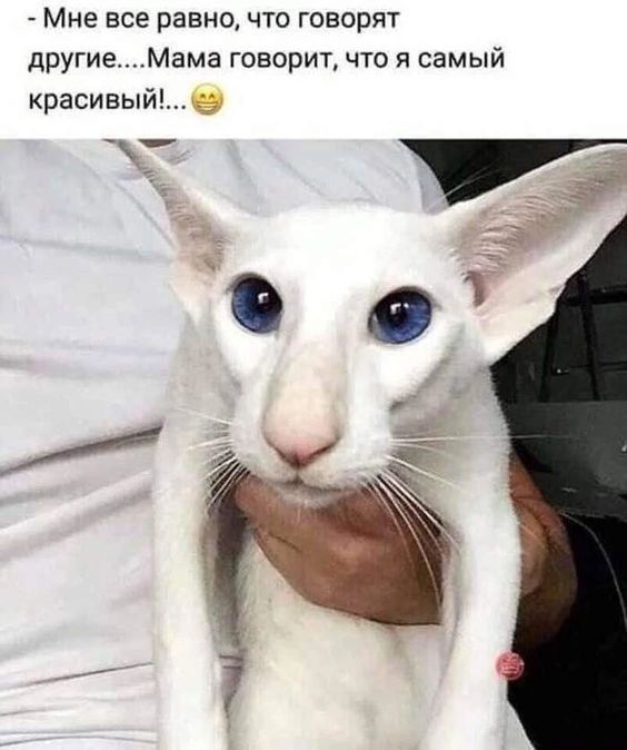 Мне все равно что говорят другиеМама говорит что я самый красивыйв __