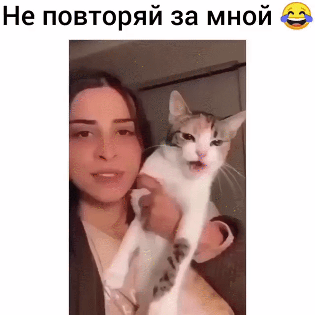 Не повторяй за мной 0