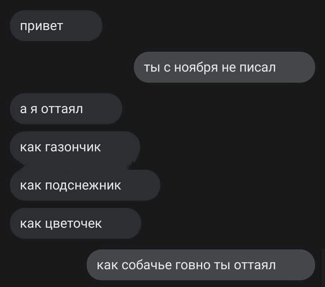 привет ты с ноября не писал а я опаяп ка газоич ик как подснежник ка к цветочек как собачье говно ты опаял