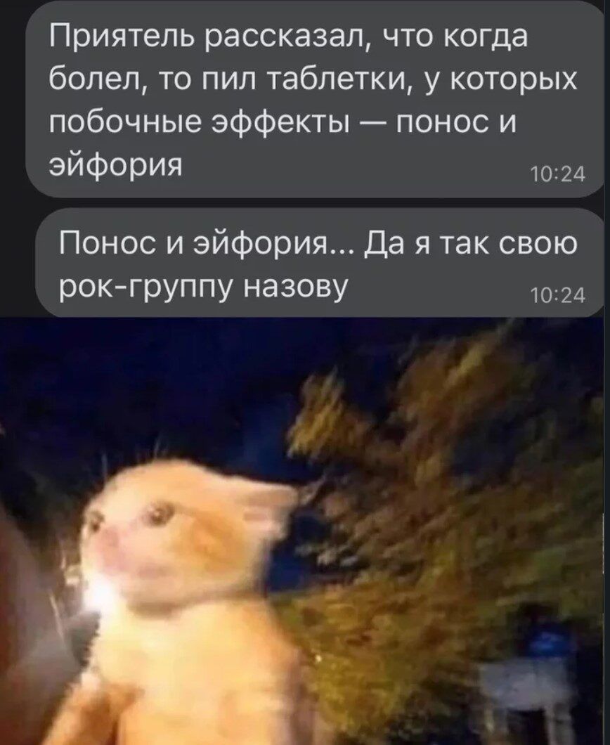 Приятель рассказал что когда болел то пил таблетки у которых побочные эффекты понос и эйфория 1024 Понос и эйфория да я так свою рок группу назову