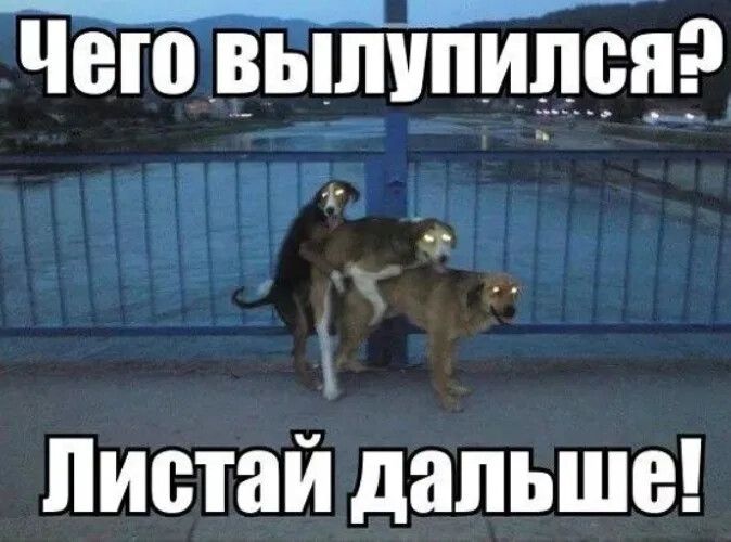 Чеювьшипилсцэ Листай дальше