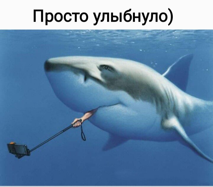 Просто улыбнуло