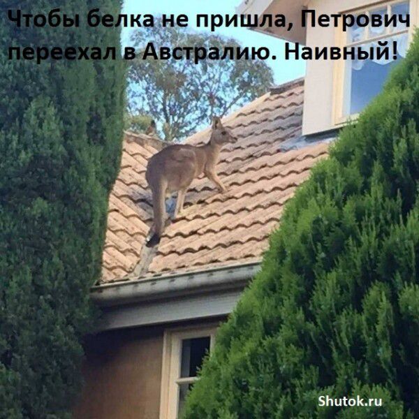 ка не прицща выйёлиш Наивный Бинты д