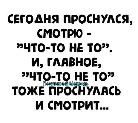 сегодня проснулся смотрю что то не то и гмвнов что 39 не то тоже проЕТтумсь и смотрит