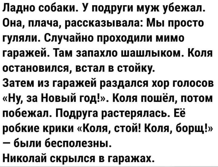 Ладно собаки У подруги муж убежал Она плача рассказывала Мы просто гуляли Случайно проходили мимо гаражей Там запахло шашлыком Коля остановился встал в стойку Затем из гаражей раздался хор голосов Ну за Новый год Коля пошёл потом побежал Подруга растерялась Её робкие крики Коля стой Коля борщ были бесполезны Николай скрылся в гаражах