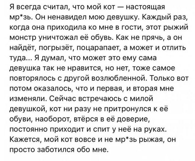 Я всегда считал что мой кот настоящая мрзь Он ненавидел мою девушку Каждый раз когда она приходила ко мне в гости этот рыжий монстр уничтожал её обувь Как не прячь а он найдёт погрызет поцарапает а может и отлить туда Я думал что может это ему сама девушка так не нравится но нет тоже самое повторялось другой возлюбленной Только вот потом оказалось что и первая и вторая мне изменяли Сейчас встречаю