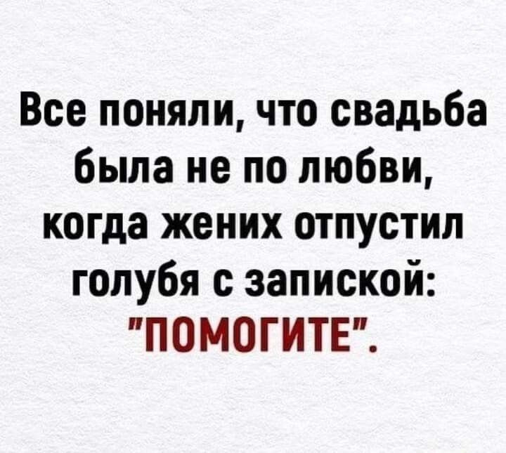 Все поняли что свадьба была не по любви когда жених ОТ пустил голубя с запиской ПОМОГИТЕ