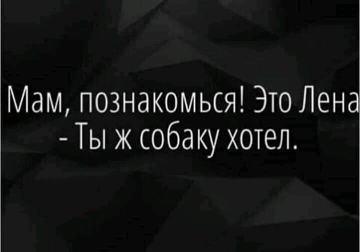 Мам познакомься Это Лена Ты ж собаку хотел