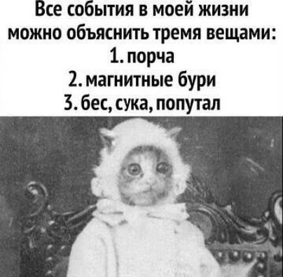 Все события в моей жизни можно объяснить тремя вещами 1 порча 2 магнитные бури 3 бес сука попутал
