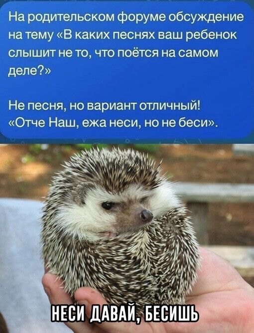 На родительском форуме обсуждение на тему В каких песнях ваш ребенок слышит не то что поётся на самом деле Не песня но вариант отличный Отче Наш ежа неси но не беси