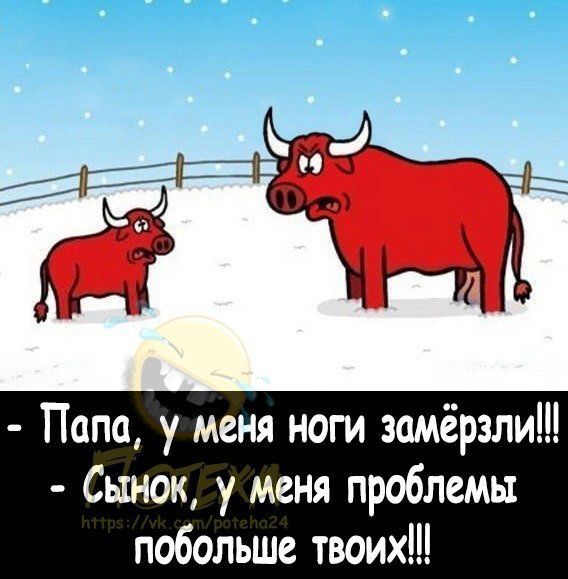 Папа уменя ноги замёрзли Сынок у меня проблемы побольше твоих