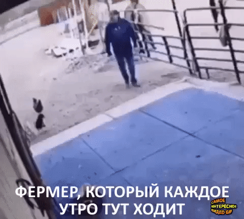 УТРО ТУТ ХОДИТ