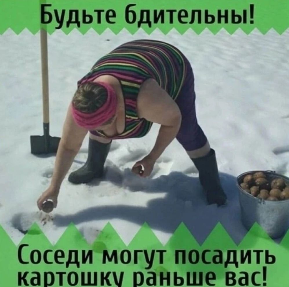 Будьте бдительны 1 Соседи могут посадить картошки раньше вас
