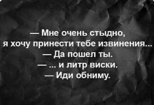 Мне очень стыдно я хочу принести тебе извинения Да пошел ты и литр виски Иди обниму