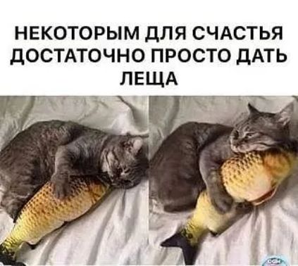 НЕКОТОРЫМ дЛЯ СЧАСТЬЯ ДОСТАТОЧНО ПРОСТО дАТЬ ЛЕЩА