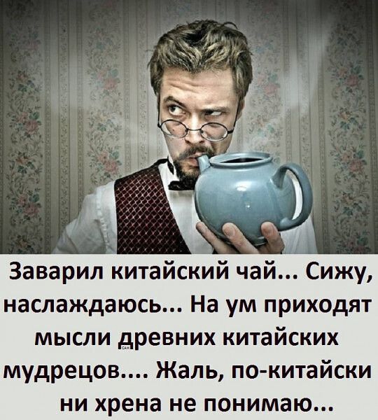 А Заварил китайский чай Сижу наслаждаюсь На ум приходят МЫСЛИ древних китайских мудрецов Жаль по китайски ни хрена не понимаю