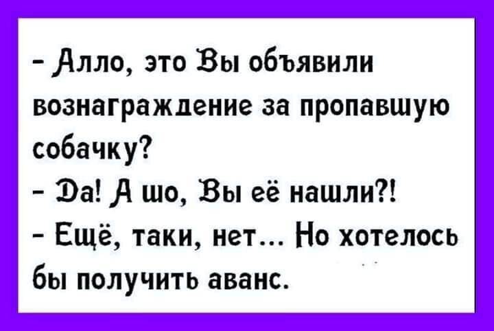 Алло это Вы объявили вознаграждение за пропавшую собачку За4 шо Вы её нашли Ещё таки нет Но хотелось бы получить аванс