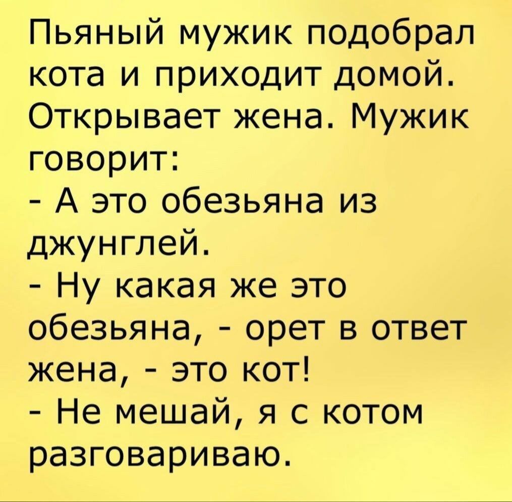 Пьяный мужик подобрал кота и приходит домой Открывает жена Мужик говорит А это обезьяна из джунглей Ну какая же это обезьяна орет в ответ жена это кот Не мешай я с котом разговариваю