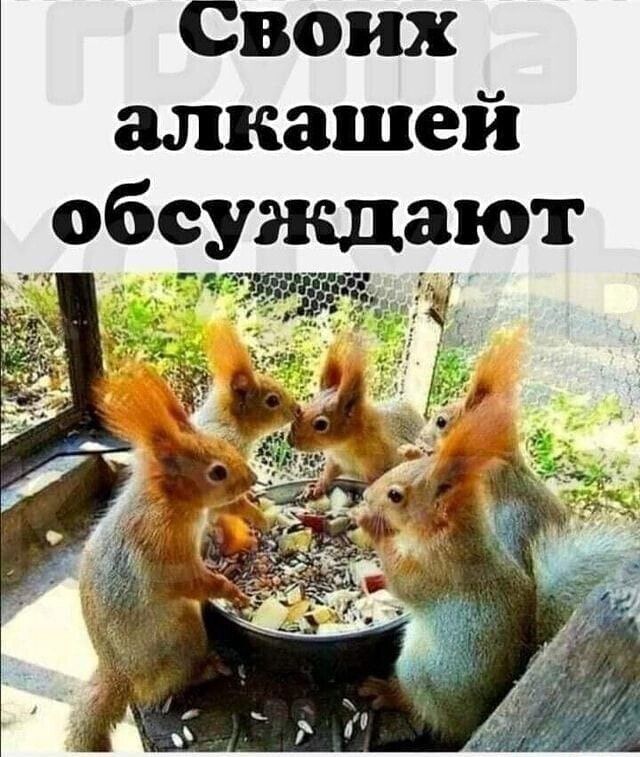 Своих алкашей обсужшпот