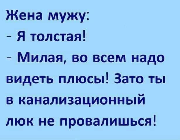 Жена мужу Я толстая Милая во всем надо видеть плюсы Зато ты в канализационный люк не провалишься