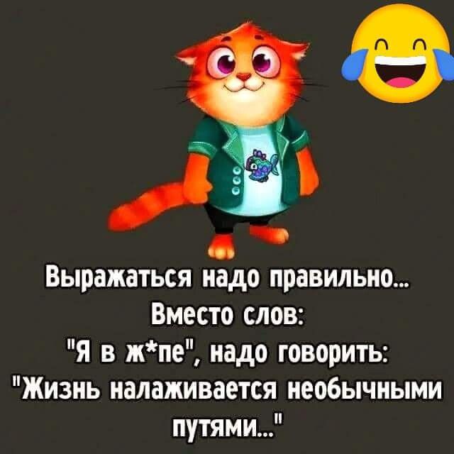 Выражаться надо правильно Вместо слов я в жпе надо говорить Жизнь налаживается необычными путями