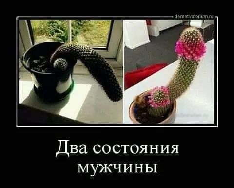 Два состояния мужчины