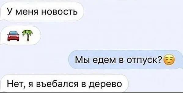 У меня новость ЁГ Мы едем в отпуск Нет я въебапся в дерево