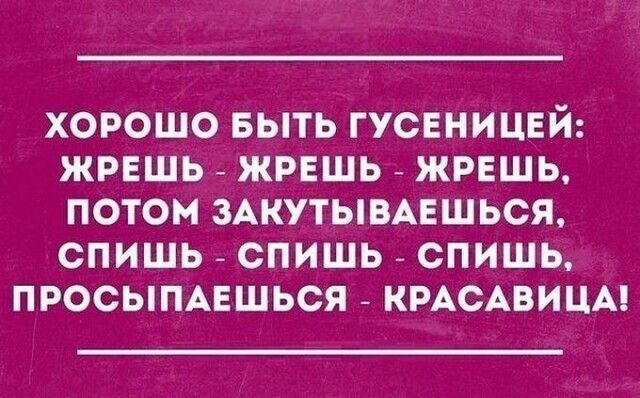 ХОРОШО БЫТЬ ГУСЕНИЦЕЙ ЖРЕШЬ ЖРЕШЬ ЖРЕШЬ ПОТОМ ЗАКУТЫВАЕШЬСЯ СПИШЬ ОПИШЬ СПИШЬ ПРОСЫПАЕШЬСЯ КРАСАВИЦА