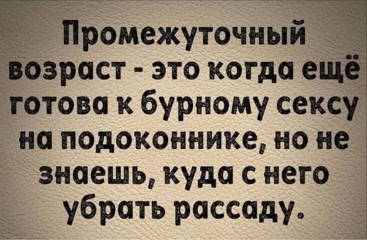 Ё Промежуточный озраст это когда ещ готово к бурному сексу на подоконнике но не 1 знаешь куда с него убрать рассаду