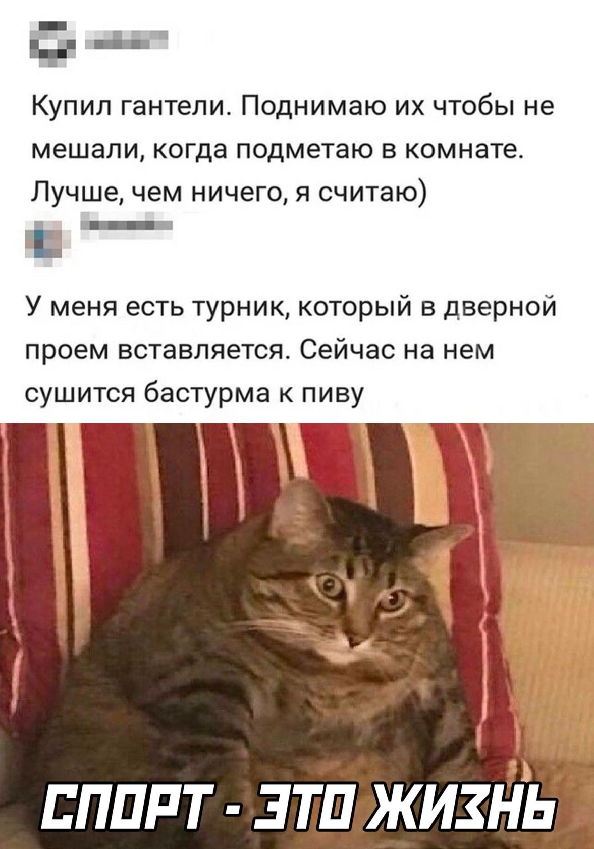 д Купил гантели Поднимаю их чтобы не мешали когда подметаю в комнате Лучше чем ничего я считаю 1 У меня есть турник который в дверной проем вставляется Сейчас на нем сушится бастурма к пиву спирт зтп жизйЪ