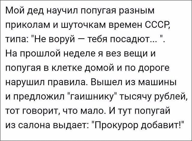 Мой дед научил попугая разным приколам и шуточкам времен СССР типа Не воруй тебя посадют На прошлой неделе я вез вещи и попугая в клетке домой и по дороге нарушил правила Вышел из машины и предложил гаишнику тысячу рублей тот говорит что мало И тут попугай из салона выдает Прокурор добавит