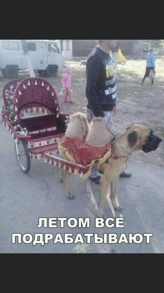 Ш ВСЁ ЮР