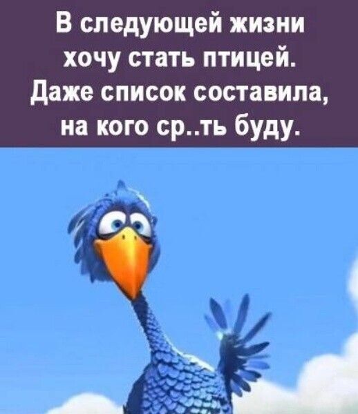 В следующей жизни хочу стать птицей Даже список составила на кого срть буду А