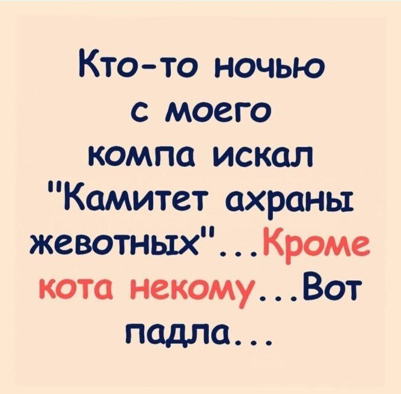 Ктото ночью с моего компа искал Комитет охраны жевотных Кроме кота некомуВот подло