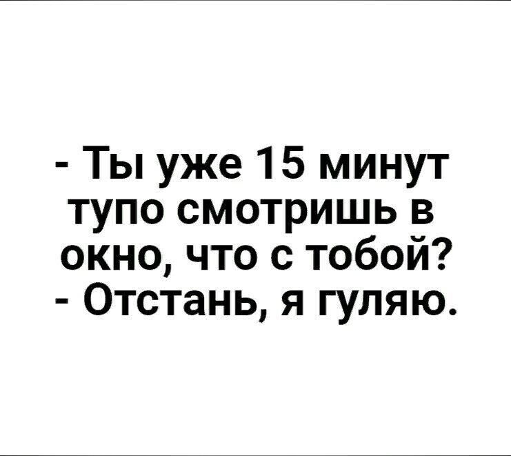 Ты уже 15 минут тупо смотришь в окно что с тобой Отстань я гуляю