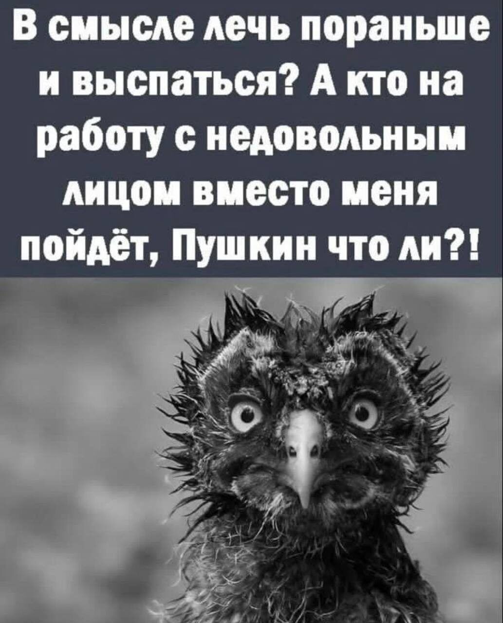 В смысле мечь пораньше и выспаться А кто на работу с недовольны лицеи виссто исия пойдёт Пушкин что ли