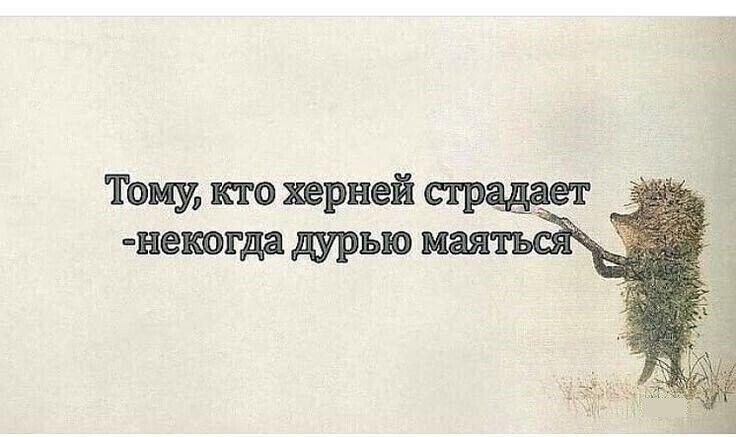 Тому кто херней страдает некогда дурью