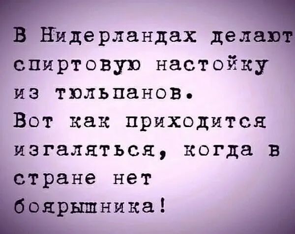 Нйдерландах дел спиртовую настойку из тюльпанов Вот как приходится изгаляться когда в стране нет _рышыика